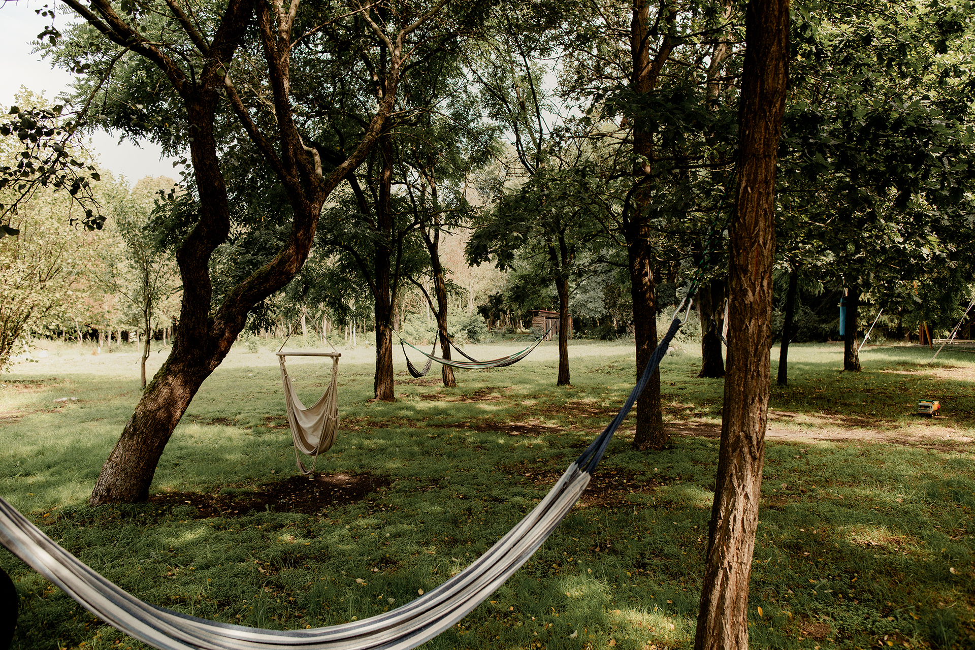 Autor: Martyna Woźniak fotografia